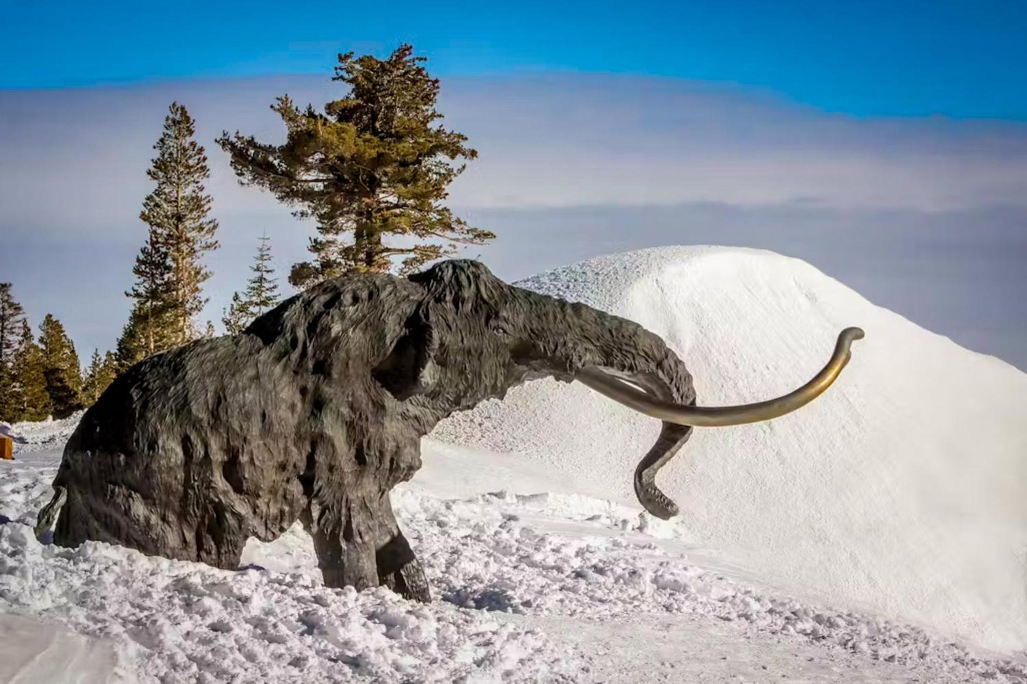 La Vista Blanc 68 Apartment Mammoth Lakes Luaran gambar